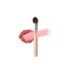 [Butterfly Zone Pore Eraser] The Tool Lab 162 Small Blusher