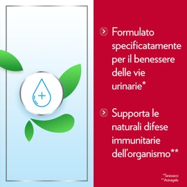 Gyno-CanesCystil CistiPro, Integratore a base di D-Mannosio per il Benessere delle Vie Urinarie,14 Bustine al Gusto Te Verde Gelsomino e Agrumi