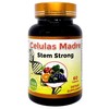 Productos El Colibri Cellulas Madre Stem Strong