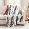 BOURINA Christmas Throw Blanket Ultra Soft Pile Velvet Plush Blanket