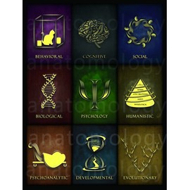 Fields of Psychology Poster Psychology Poster