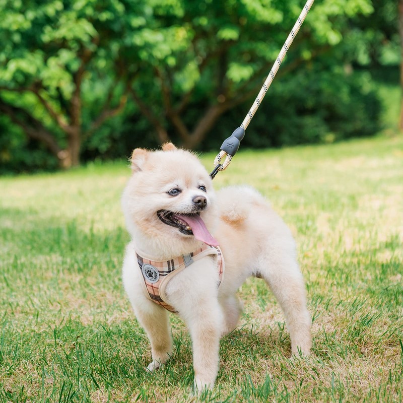 BEAUTYZOO Small Dog Harness and Leash Set,Step in No Choke