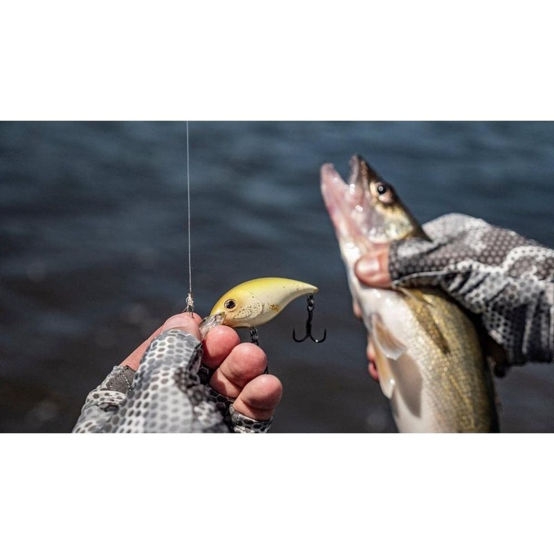 Money Badger - 6.25CM Perch