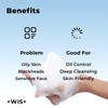 +WIS+ Gentle Face Wash with Skin-Friendly Amino Acids, Hydrating Facial