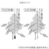 TAKAMIYA TF15 Simple Sabiki Large Catch 3 Piece Set Needle
