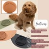 Slow Feeder Dog Bowl: The Slowdown Bowl is A Modern,