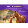 IverGuard Horse Paste 1.87%: Apple-Flavored Horse Paste, Up to 3086lbs,