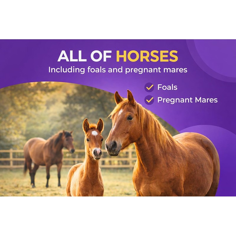 IverGuard Horse Paste 1.87%: Apple-Flavored Horse Paste, Up to 3086lbs,