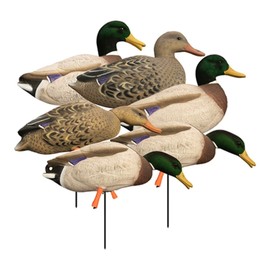 Higdon Outdoors Magnum Full-Body Mallard, Variety Pk, Flocked Heads…