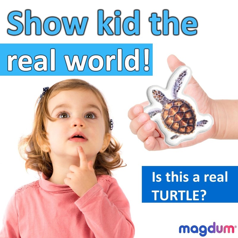 Magdum Fridge Magnets for Toddlers - 30 SEA Photo Kids