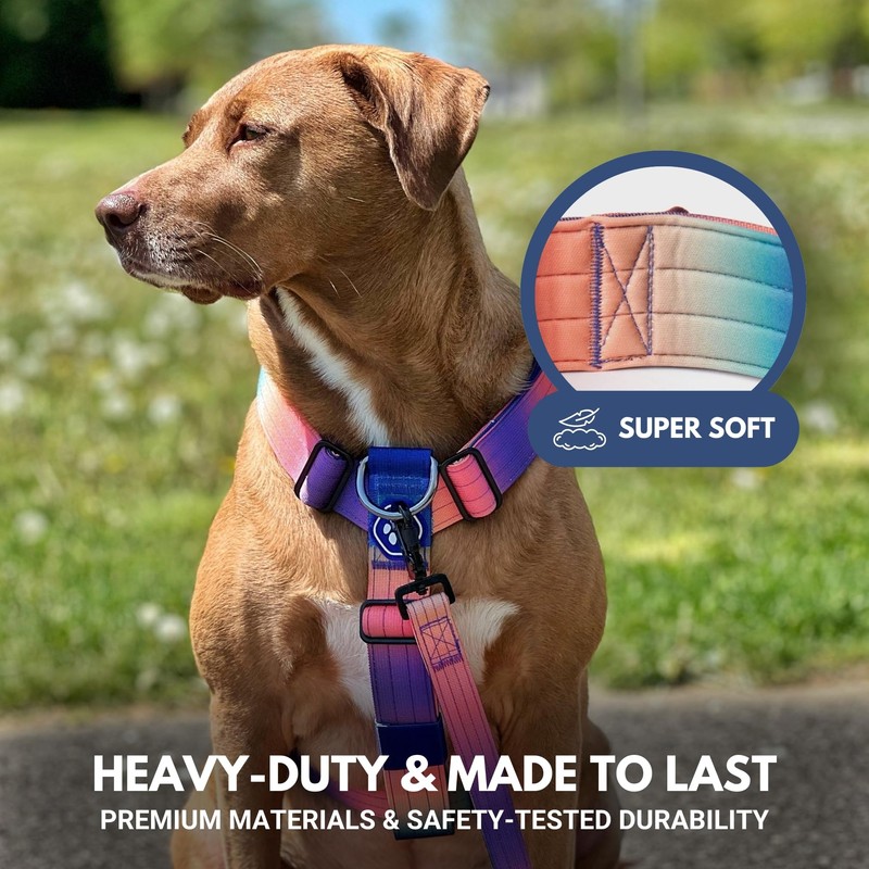 Spark Paws No Pull Dog Harness for Large Dogs, Heavy