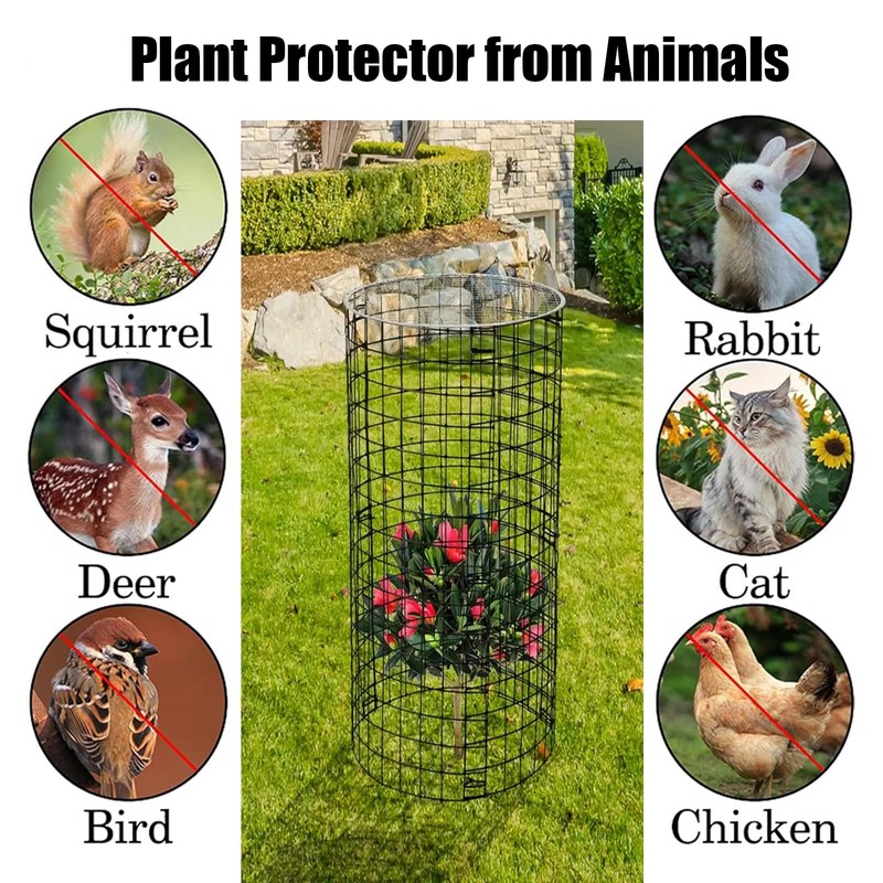 6 Pack Plant Protector from Animals with Lid, 23.15 x