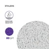 STALEKS PRO PODODISC S 80 Grit Replacement Pads White (Pack