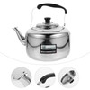 Tea Kettle Stainless Steel Water Kettle Tea Pot for Stove