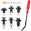 TOTMOX 120pcs Car Bumper Retainer Rivet Clips Set with Removal