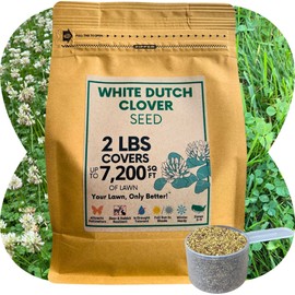 Flawn Seed Perennial White Dutch Clover Seeds - Coated Clover, Natural Lawn, Ground Cover, Food Plot, Pasture, Zones 3-9, Easy Spread, Bonus Scoop, 2 LBS Covers Up to 7,200 SqFt