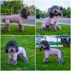 Lovelonglong Ribbed Dog Pajamas Cotton Knitted Dog Jumpsuits 4 Legged