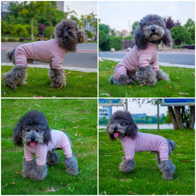 Lovelonglong Ribbed Dog Pajamas Cotton Knitted Dog Jumpsuits 4 Legged