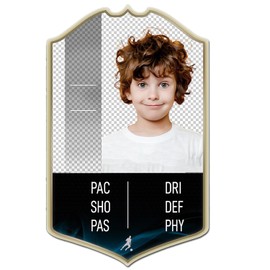 ShopQuality4U Add Your Own Picture Background - Printed Aluminium Metal Stats Card Personalise Shield sign 12cm x 20cm (120mm x 200mm) 4.72 x 7.87 Football Player Card