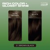 Clairol Natural Instincts Demi-Permanent Hair Dye, 3 Brown Black Hair