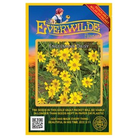 Everwilde Farms - 200 Engelmann Daisy Native Wildflower Seeds - Gold Vault Jumbo Seed Packet