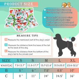 Reusable Dog Diapers Female, Pack of 3 Washable Highly Absorption Puppies Dogs Diapers for Period Heat Panties or Excitable Urination (Nature, M)