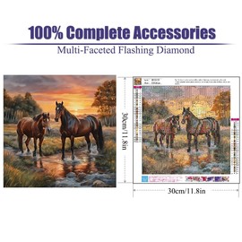 BOHADIY Horse Diamond Painting Kits for Adults, Sunset Landscape Round Full Drill Diamond Art Kits, Diamond Art Kits for Beginners, 5D DIY Animal Paint with Diamonds Crafts for Wall Decor 12×12Inch