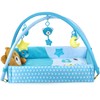 Baby Play Gym & Activity Mat for Boys Unisex with