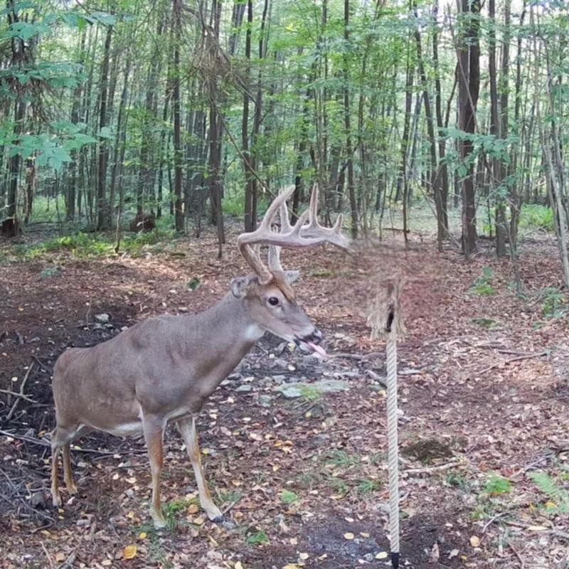 Heated Hunts Rigid Mock Scrape Post Kit with Synthetics Scents