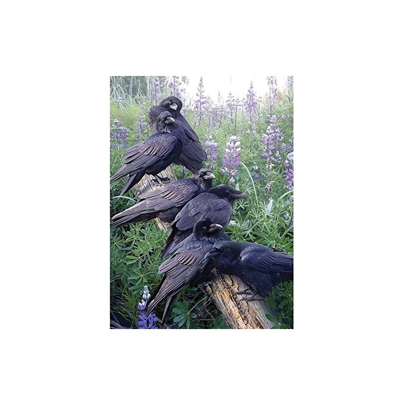 Cobble Hill 1000 Piece Puzzle - Raven Rendezvous - Sample