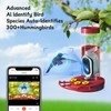 TT Nature Hummingbird Feeder with Camera Solar Powered, AI Identify