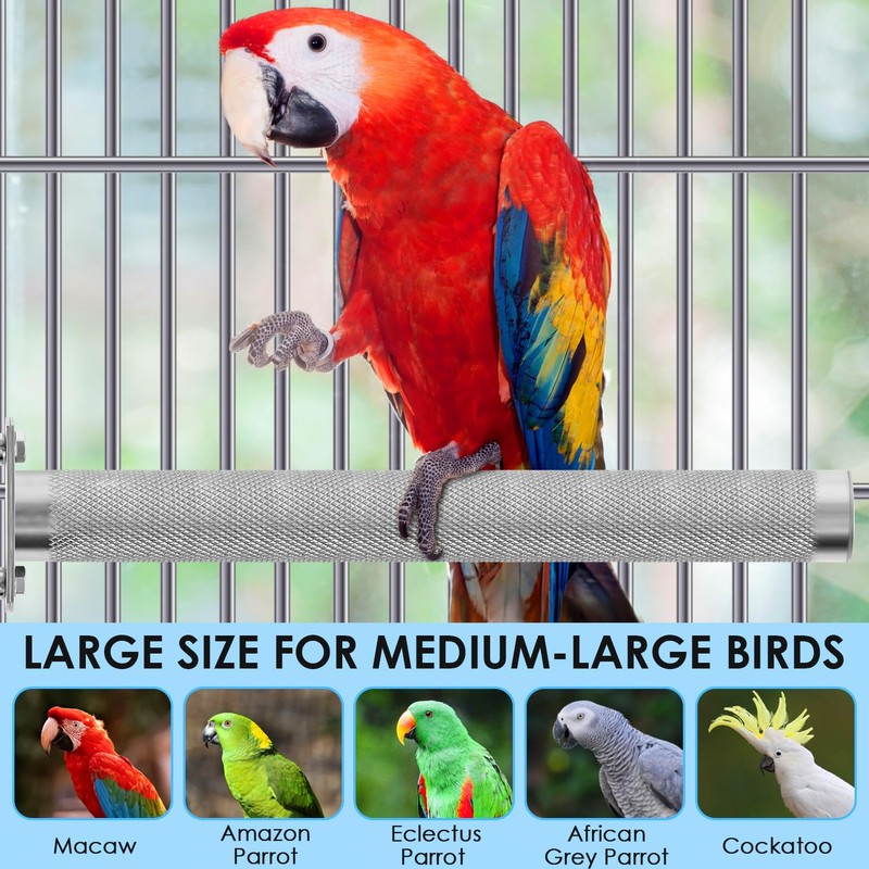 KATUMO Parrot Perch - Stainless Steel African Grey Perch Bird