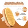 DSG PRO Firm Exfoliating Body Brush – Beech Wood &