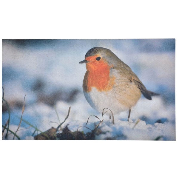 Robin Printed Welcome Doormat Easy Clean Anti Slip Mat (73cm