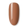 BLUESKY Gel Polish Choco Break SS2009 - Gel Dissolving Nail