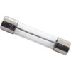 Balboa 21581 0.3-Amp Fuse without Lead