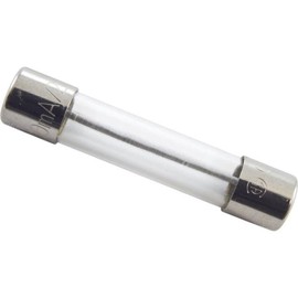 Balboa 21581 0.3-Amp Fuse without Lead