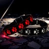 DOGLED LED Light Up Dog Collar, USB-C Rechargeable, Multicolor Paw