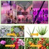 0007 Plant Lamp LED Full Spectrum 2 Heads 60 LEDs