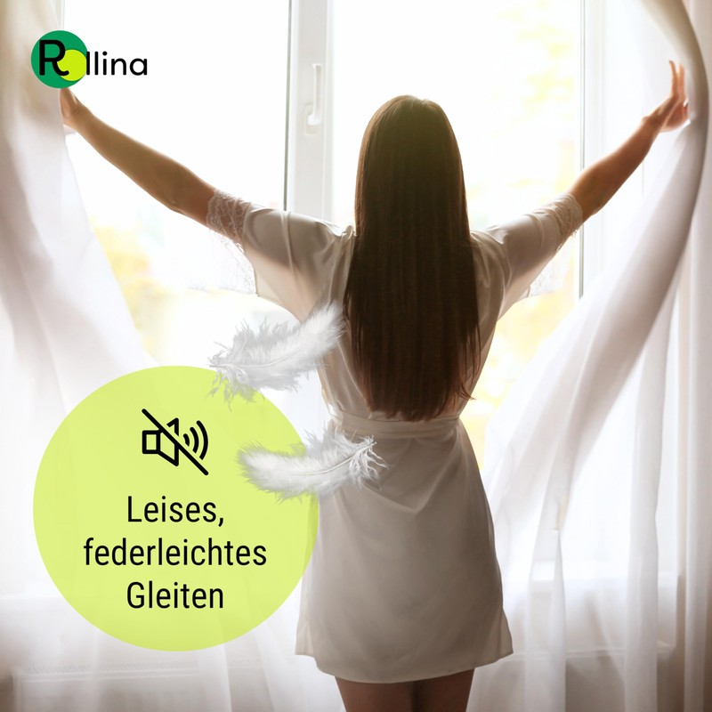 Rollina X-Glider Curtain Hooks for Rails with 6 mm Inner