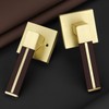 EHOMEWARE 1 Pack Gold Door Lever with Bronze Leather Handle,