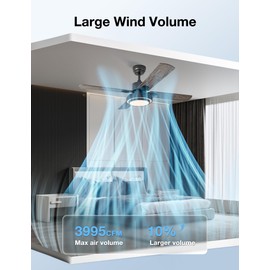 warmiplanet Ceiling Fan with Lights Remote Control, 52 Inch, Black (4-Blades)