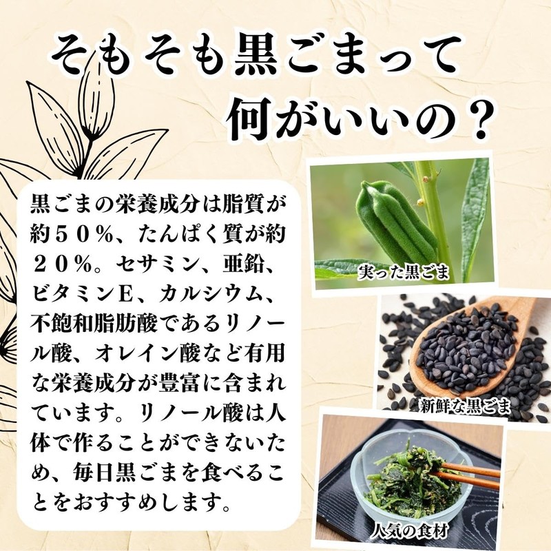 自然健康社 黒ごまパウダー 500g 粉末 無添加 業務用 セサミン サプリ