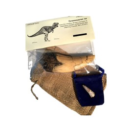 DINOSAURS ROCK Tyrannosaurus Rex Tooth Replica - T-Rex - Plus Genuine Fossil Spinosaurus Dinosaur Tooth Fragment