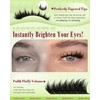 Fluff Cat Eye Lash Clusters Spikes Pre Mapped Eyelash Clusters