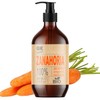 QKnatur Qknatur CARROT OIL 250 ml 100% pure and natural