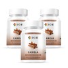 BIO B  Canela 3 Pack 60 cpsulas veganas cada uno - Producto Original de Alta Calidad, Entrega Rápida y Segura, Garantía Incluida                      