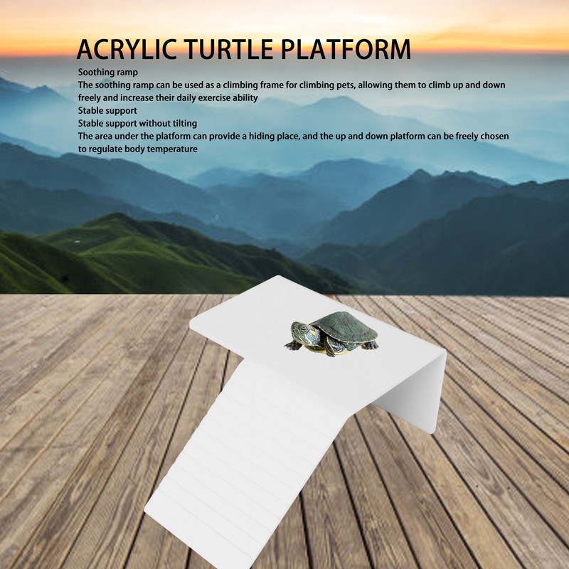 Acrylic Turtle Basking Platform Durable Slip Rasistant Deck Surface Stable