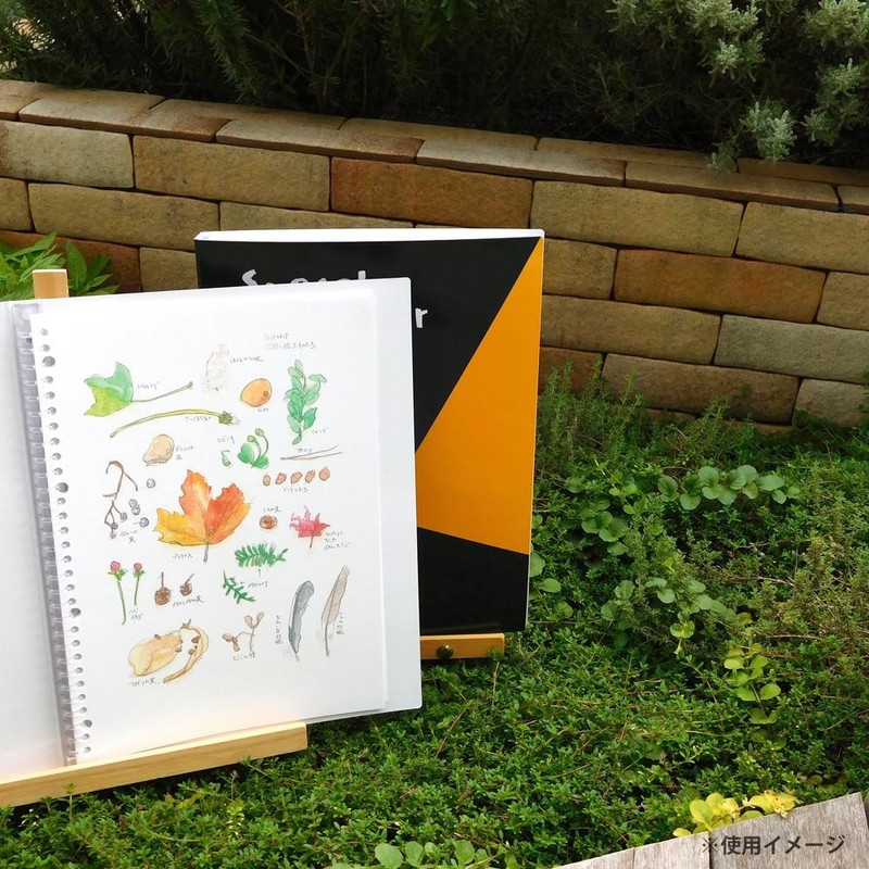 Maruman F210 Loose Leaf Binder A4 Sketch Binder 30 Holes