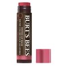 Burt's Bees Geschenkset „Mistletoe Kiss“: 100% natürlich mit 3 feuchtigkeitsspendenden